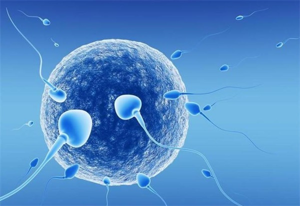 试管婴儿胚胎退化是什么原因，营养不足、激素水平都是影响因素