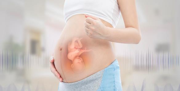 试管婴儿减肥后骨骼肌上涨能不能移植冻胚揭秘